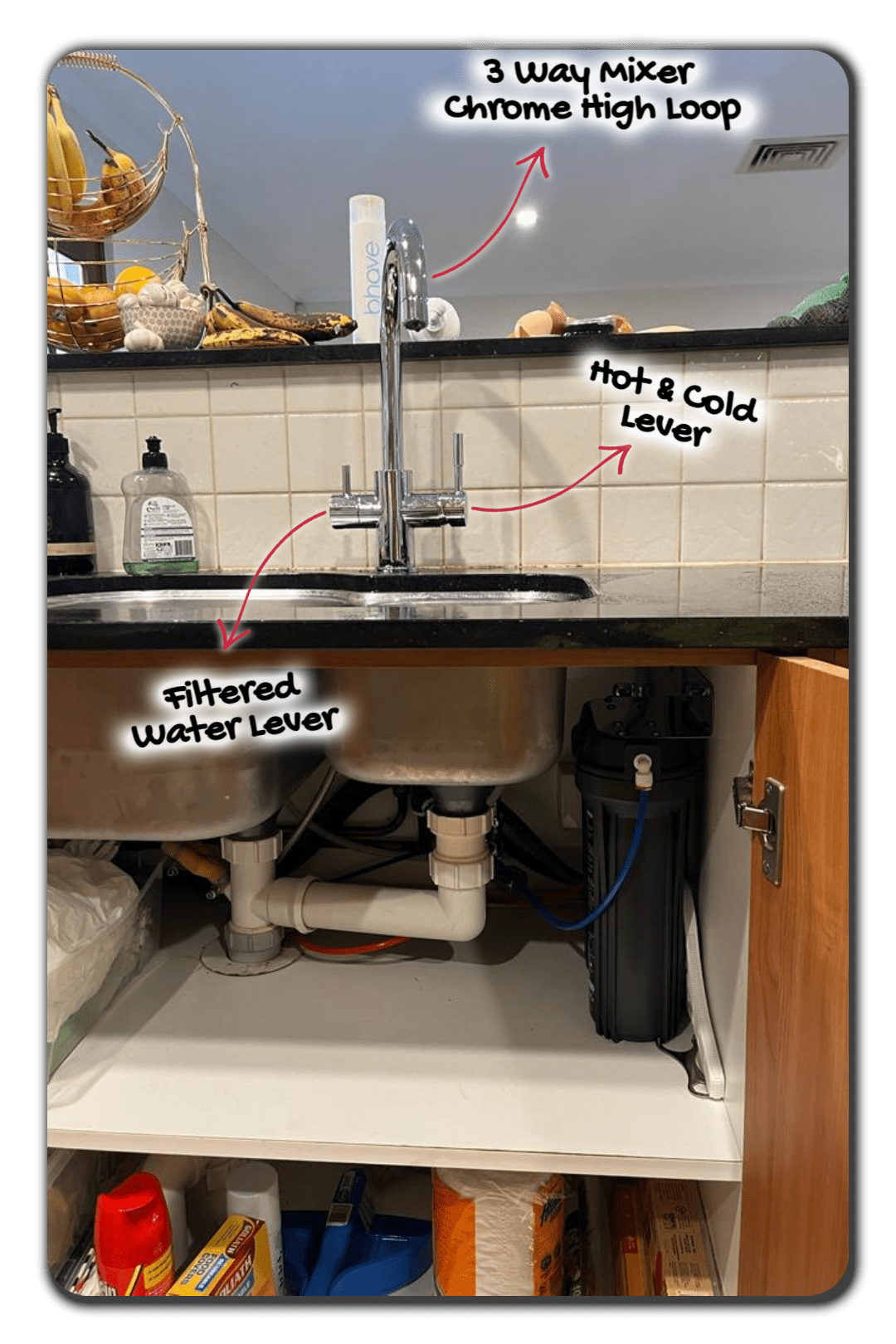 Home Renters Twin Undersink Water Filter