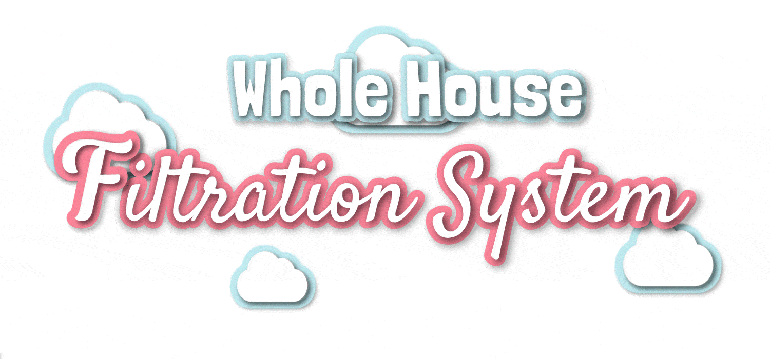 Whole House Filtration System