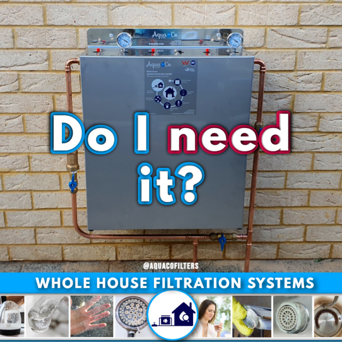 Do I need a whole house water filter